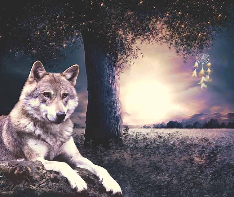 Le loup, un animal de nos forêts entre légendes et histoire